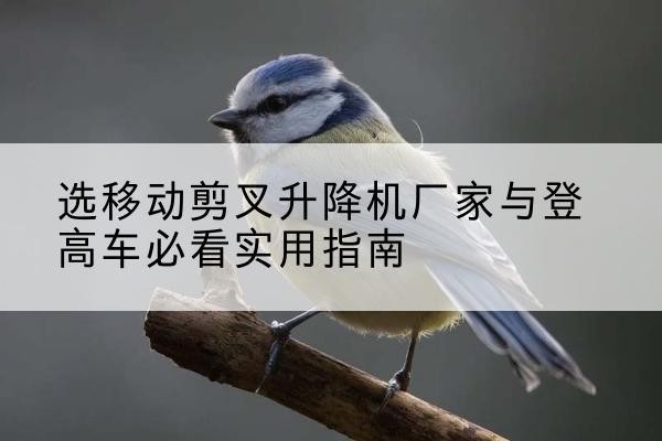 渝水电动升降机厂家-选移动剪叉升降机厂家与登高车必看实用指南