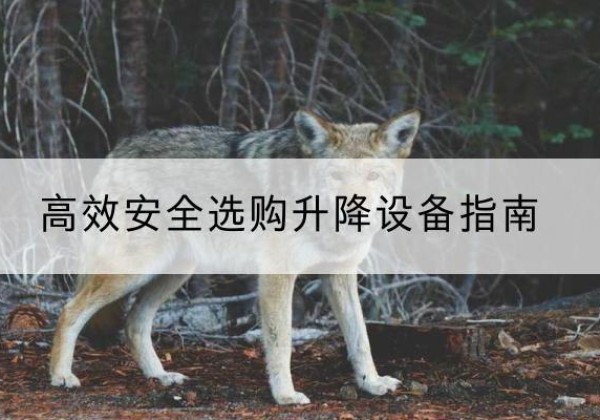 渝水升降货梯厂家推荐-*安全选购升降设备指南